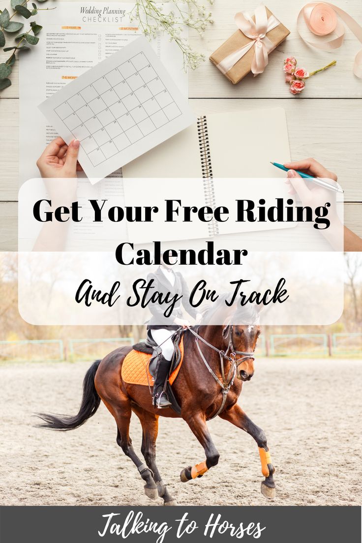 a horse with the words get your free riding calendar and stay on track