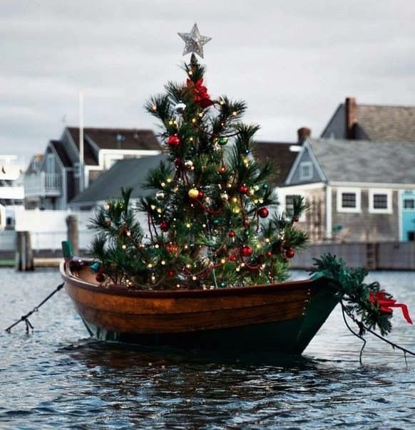 an instagram page with a christmas tree in a boat on the water and houses behind it