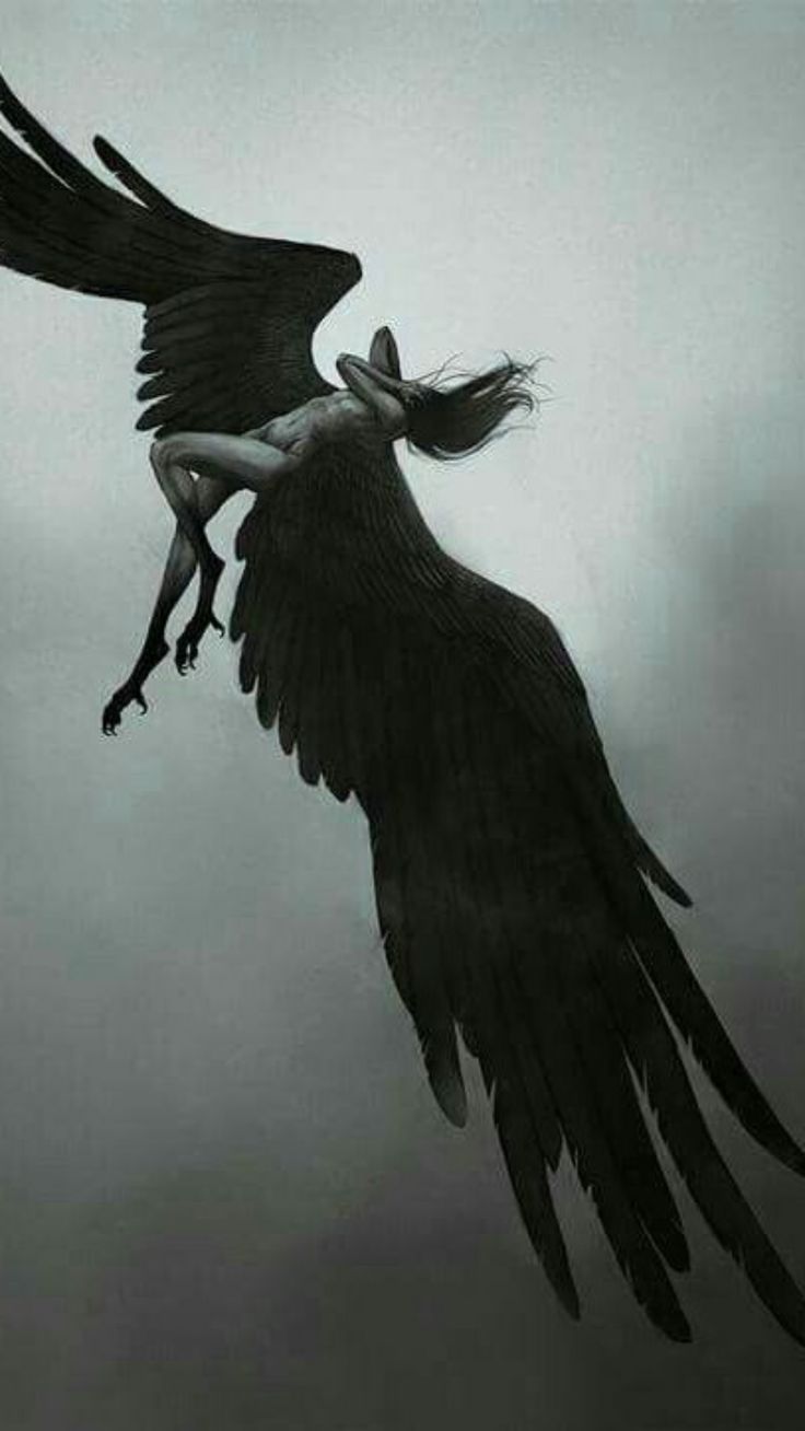 a black and white photo of a woman with long hair flying through the air while holding onto a large bird's wings