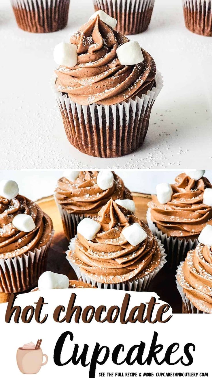 chocolate cupcakes with marshmallows on top and the words hot chocolate cupcakes above them