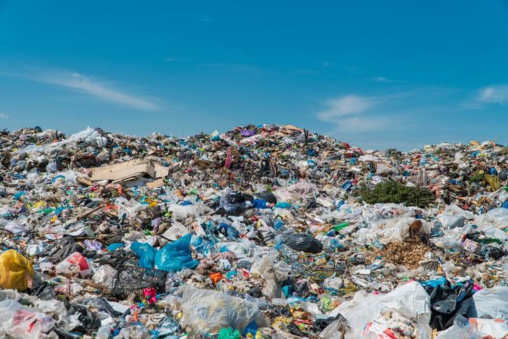 Garbage dump landscape. Open-air landfill. Ecological damage, contaminated land royalty free stock photos Waste Pollution, Garbage Dump, Environmental Problems, What Is A Bird, Environmental Problem, Household Waste, Sky Background, Invasive Species, Endangered Species