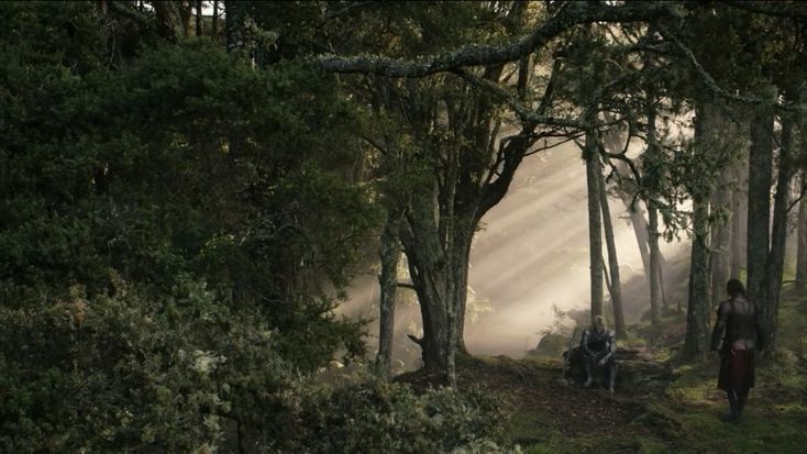 two people are walking through the woods on a foggy day with sunbeams