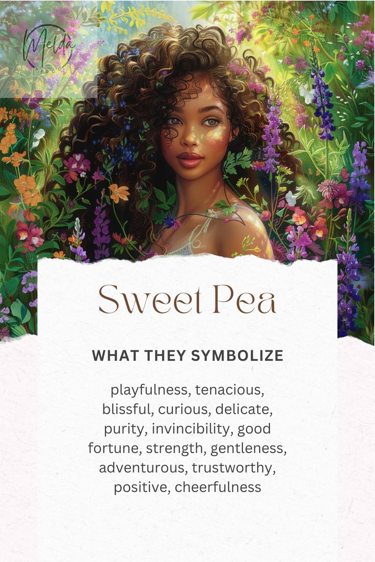 the front cover of sweet pea's album, what they symbolize