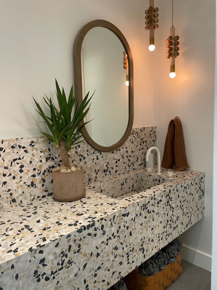 a bathroom with a sink and mirror next to a plant on the counter in front of it