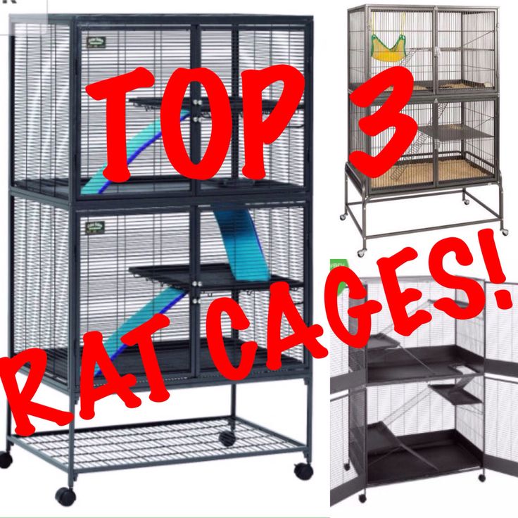 the top 3 rat cages are on sale