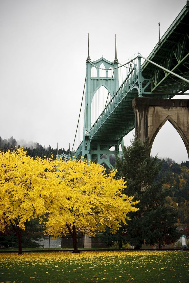 a tree with yellow leaves in front of a bridge