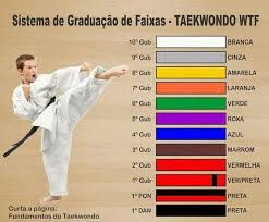 a kid doing karate moves with the colors of their belts in front of him and below them