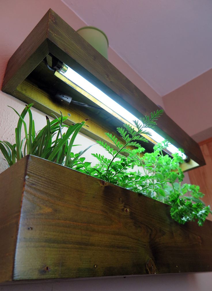 an indoor planter with plants growing in it