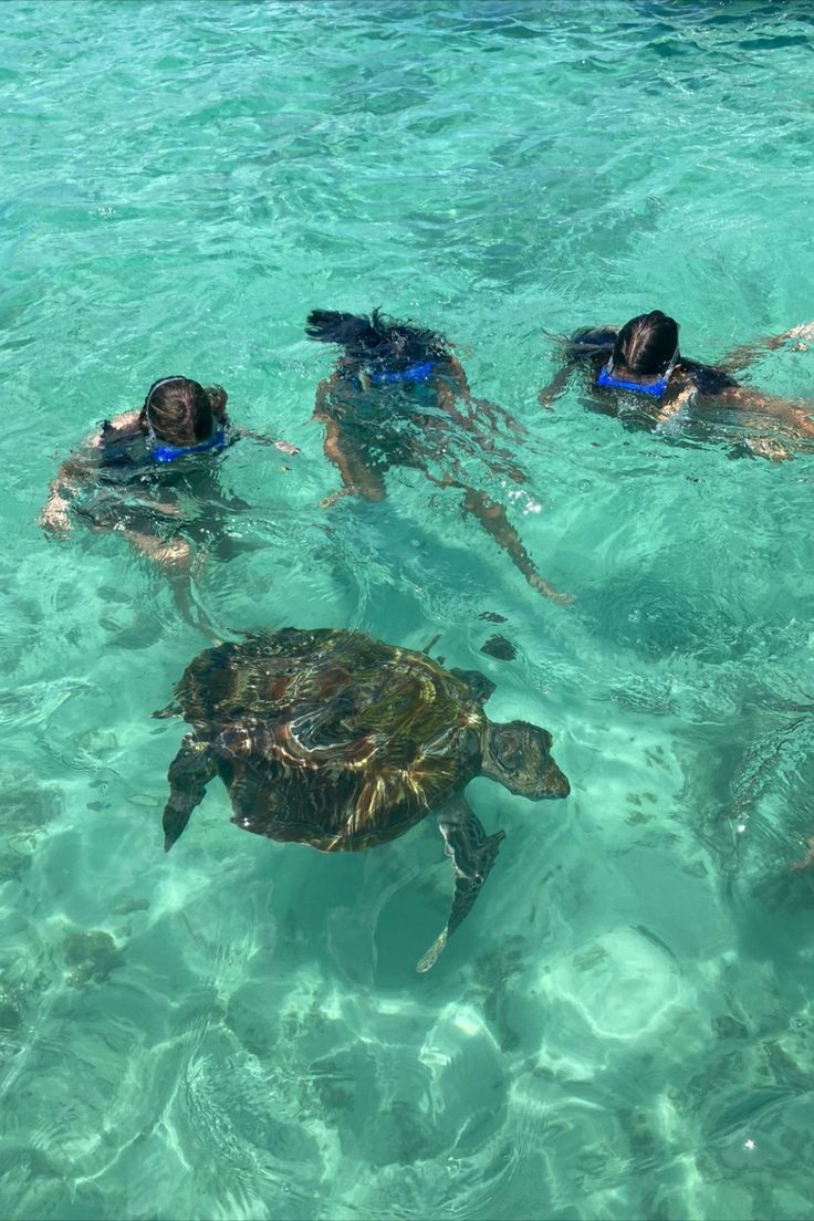 three people swimming with a turtle in the ocean