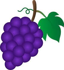 a bunch of grapes with green leaves on the top and purple berries on the bottom