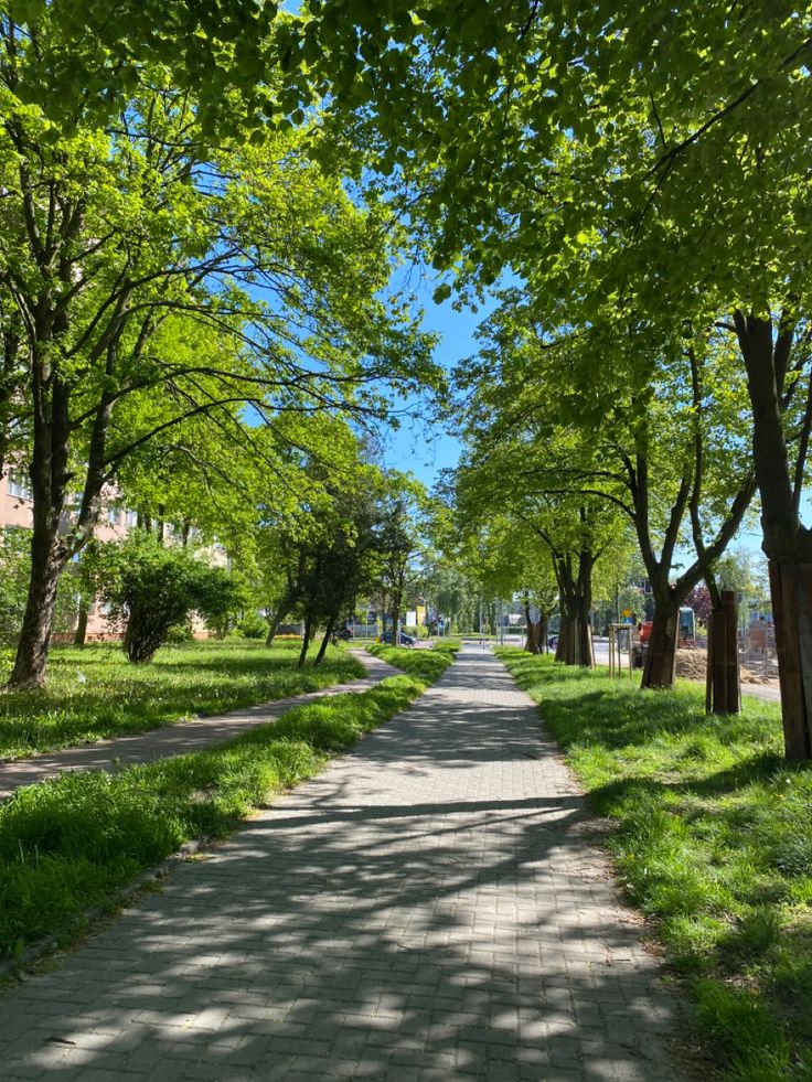 an empty sidewalk surrounded by trees and grass