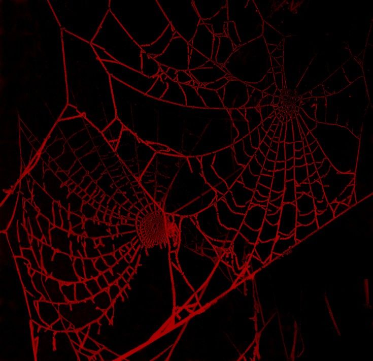 a spider web is glowing red in the dark