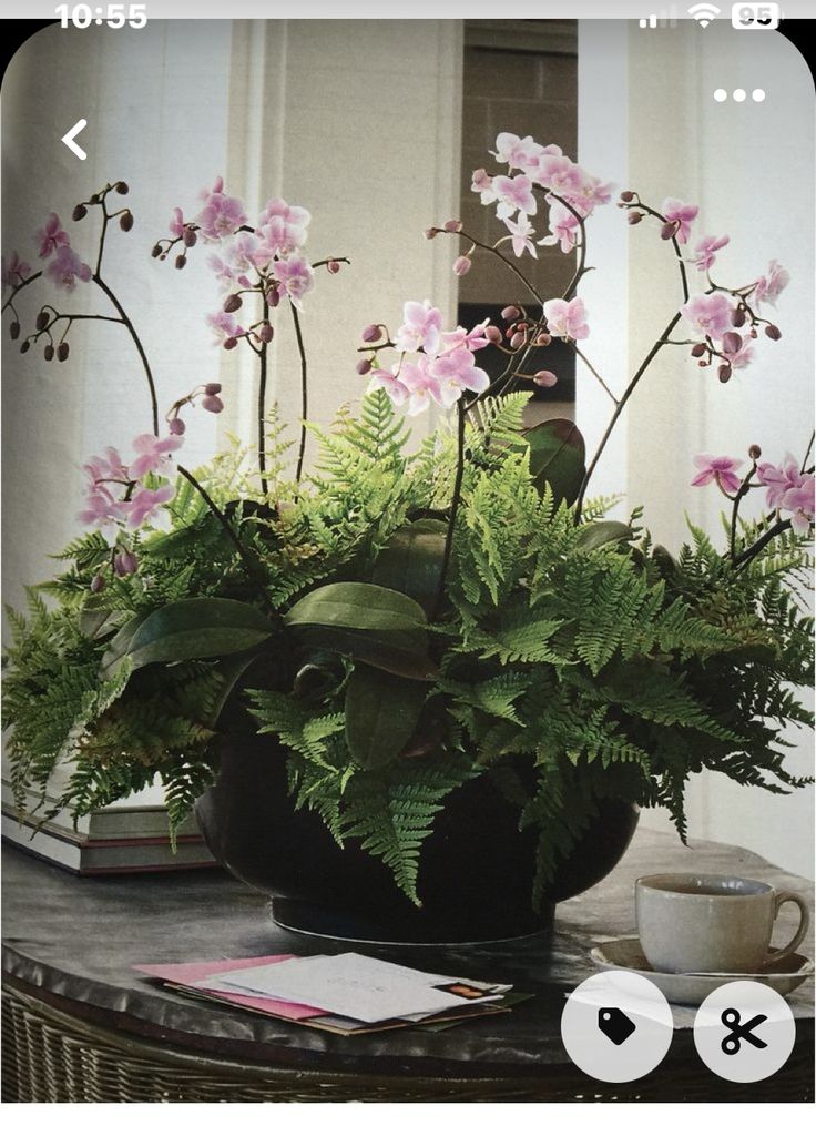 a potted plant sitting on top of a table next to a cup and saucer