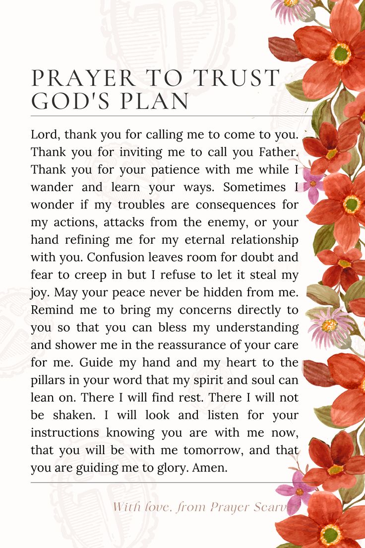 a prayer for god's plan with red flowers and green leaves on the border