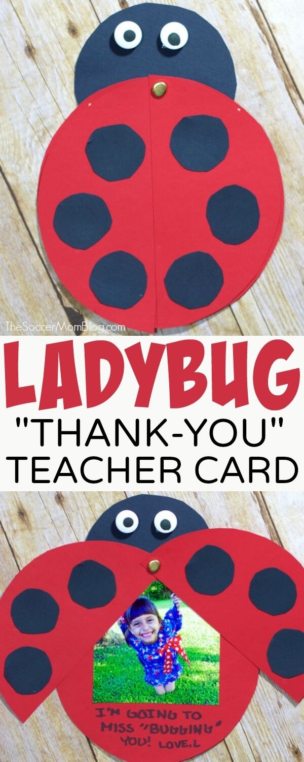 ladybug craft made out of paper with the words, thank you teacher car