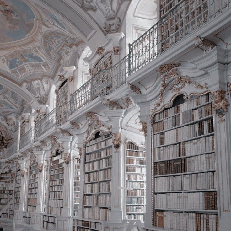 an old library with many bookshelves filled with lots of books on the walls