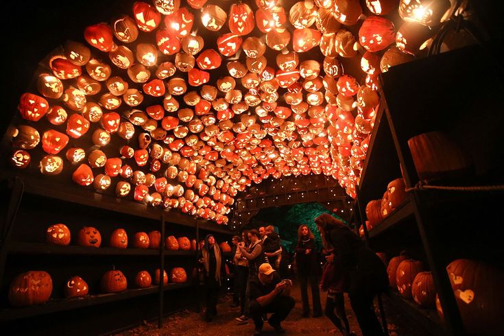 many pumpkins are lit up in the shape of heads and faces as people look at them