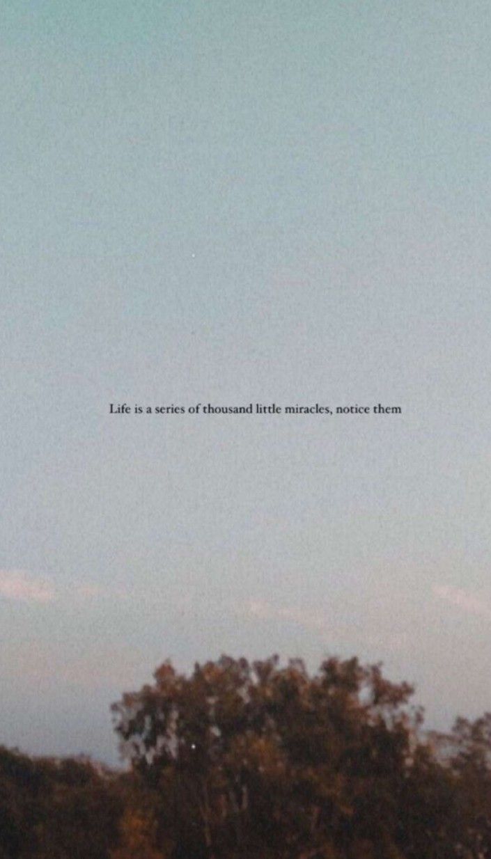 an airplane is flying high in the sky above some trees and bushes with a quote written on it