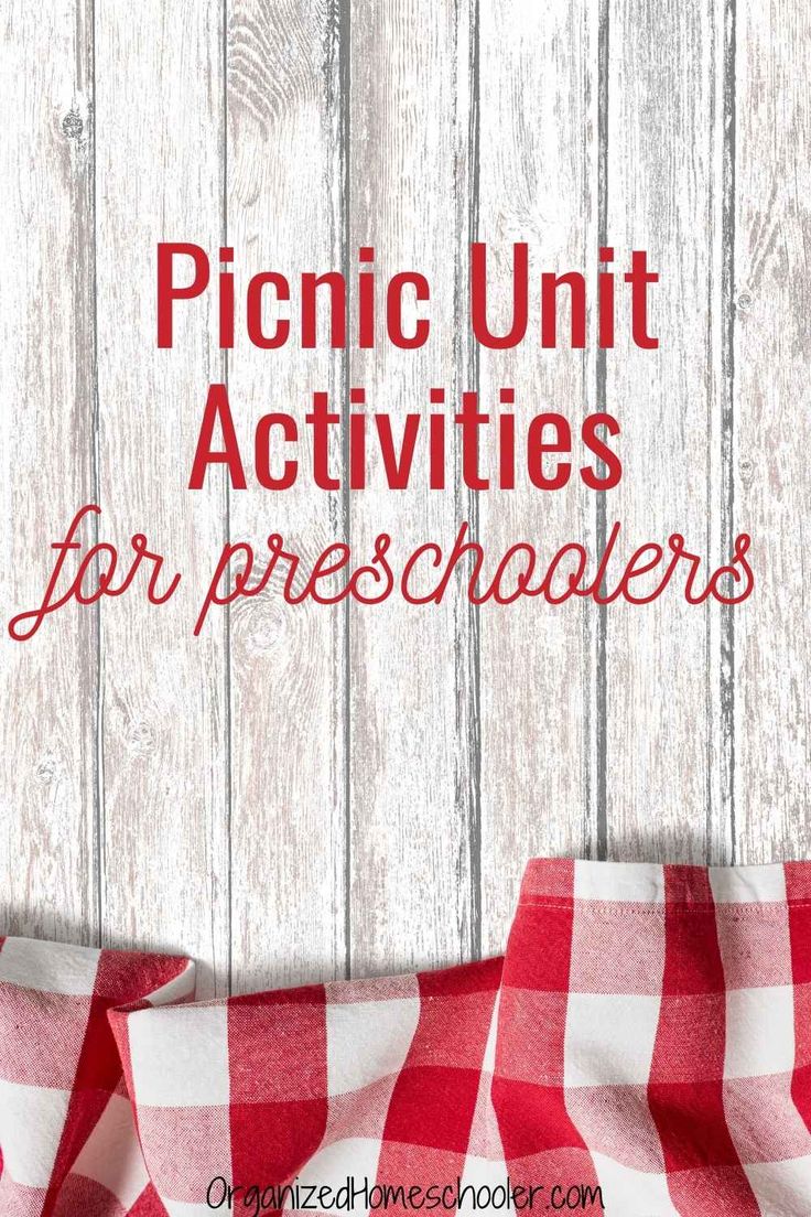 red and white checkered fabric with the words picnic unit activities for pre - schoolers