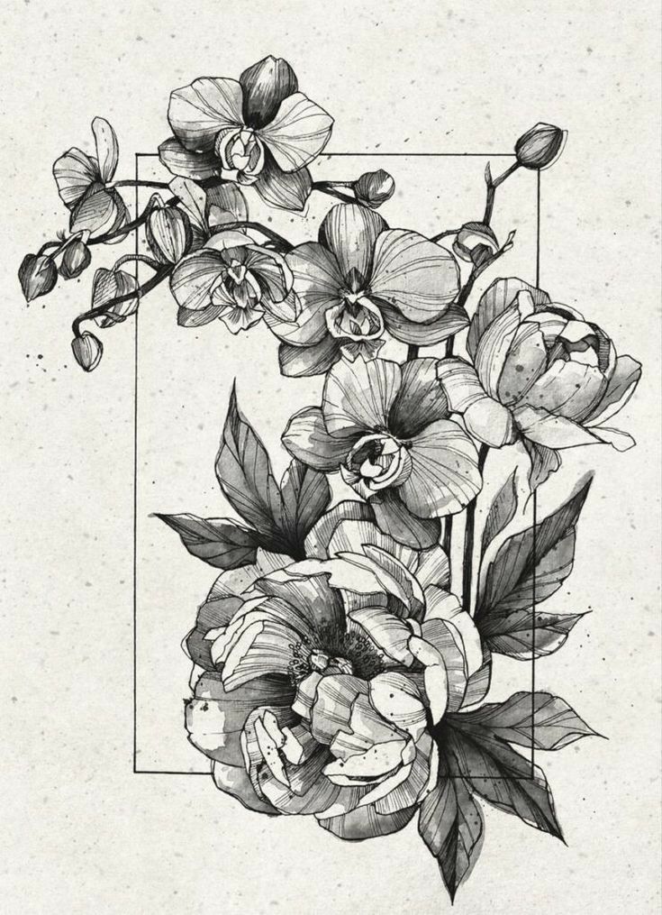 an ink drawing of flowers in a square frame