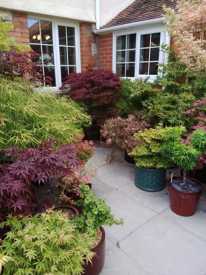 many potted plants in front of a house