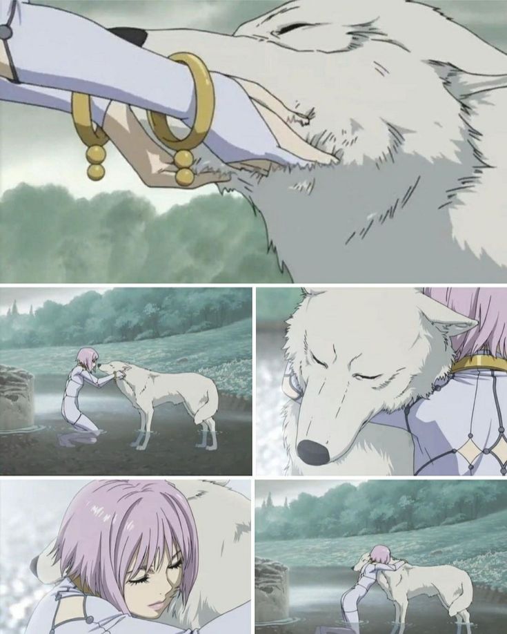 Wolf's Rain Tattoo, Wolfs Rain Anime, Rain Tattoo, Wolf's Rain, Wolf’s Rain, Anime Siblings, Dragon Rise, Anime Soul, Studio Ghibli Art