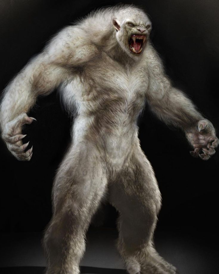 a big furry white gorilla standing on one leg