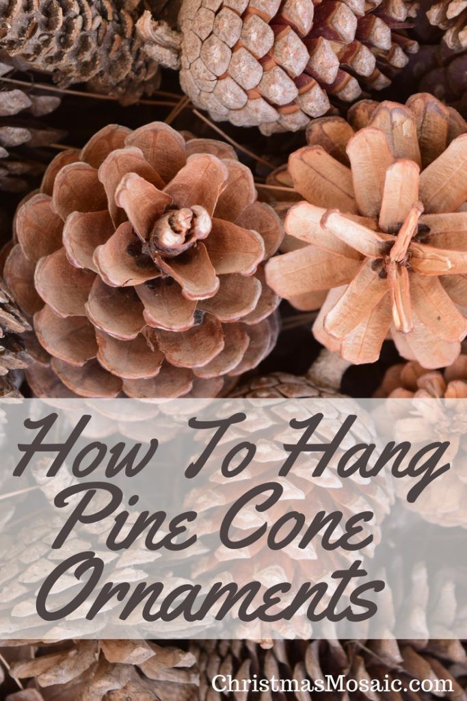 pine cones with the words how to hang pine cone ornaments on it and an image of some