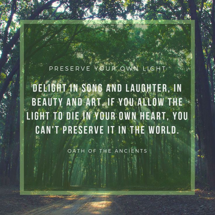 a forest filled with lots of trees next to a quote about light in the night