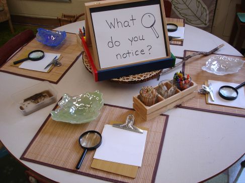 a table topped with lots of different items and writing on the board that says what do you notice?