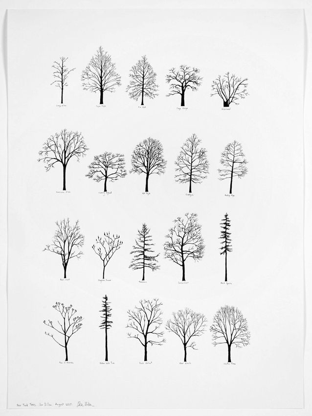 twelve trees are shown in black and white