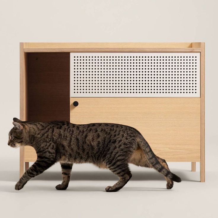 Cat litter box furniture Cat Litter Box Ideas, Litter Box Ideas, Ikea Cat, Houseplants Safe For Cats, Cats And Humans, Box Hacks, Cat Litter Box Enclosure, Modern Cat Furniture, Litter Box Furniture