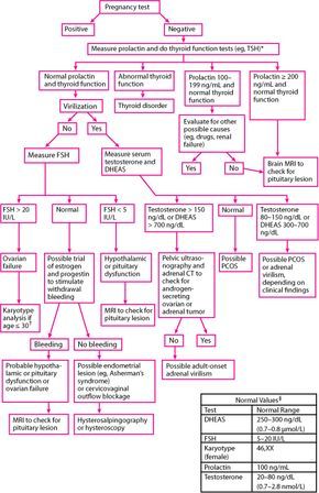 a flow diagram with several different types of information in the form of an organization chart