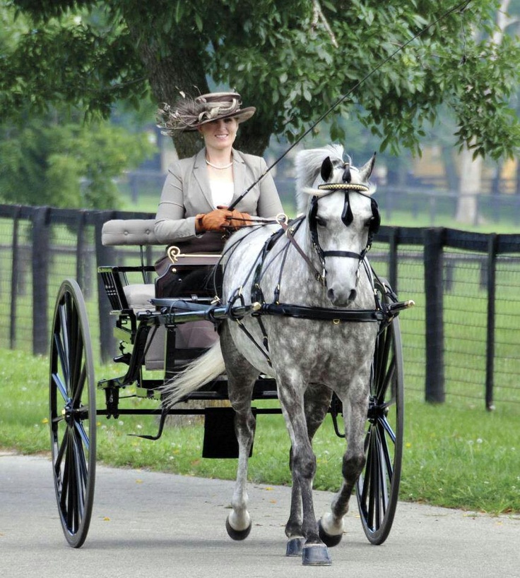 a woman riding on the back of a horse drawn carriage