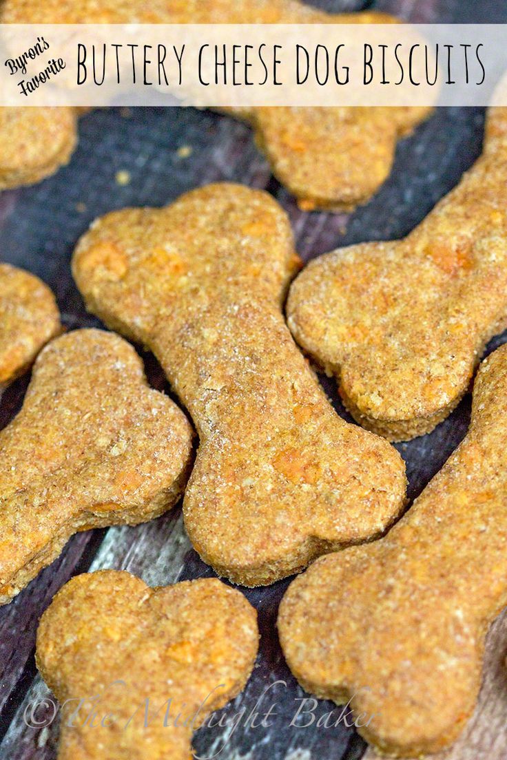 homemade buttery cheese dog biscuits are ready to be baked in the oven for dogs