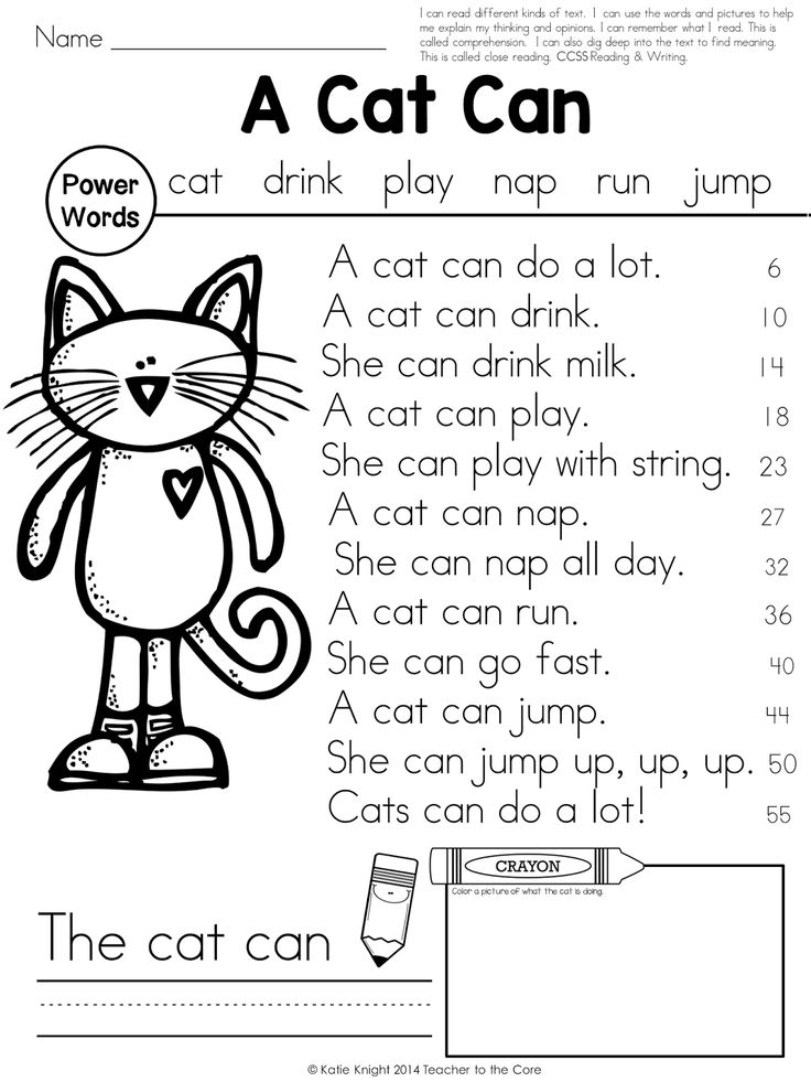 a cat can worksheet for kids