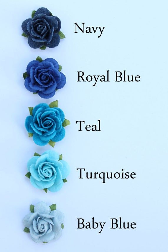 four blue flowers are arranged in the same row