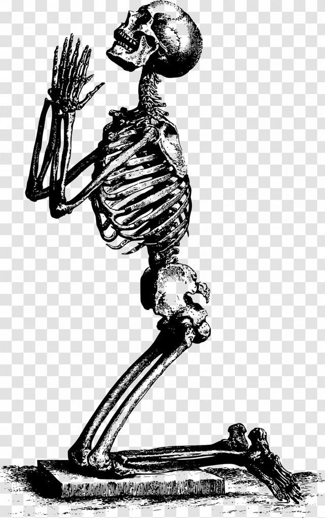 a skeleton is holding his hands up in the air while standing on its hind legs