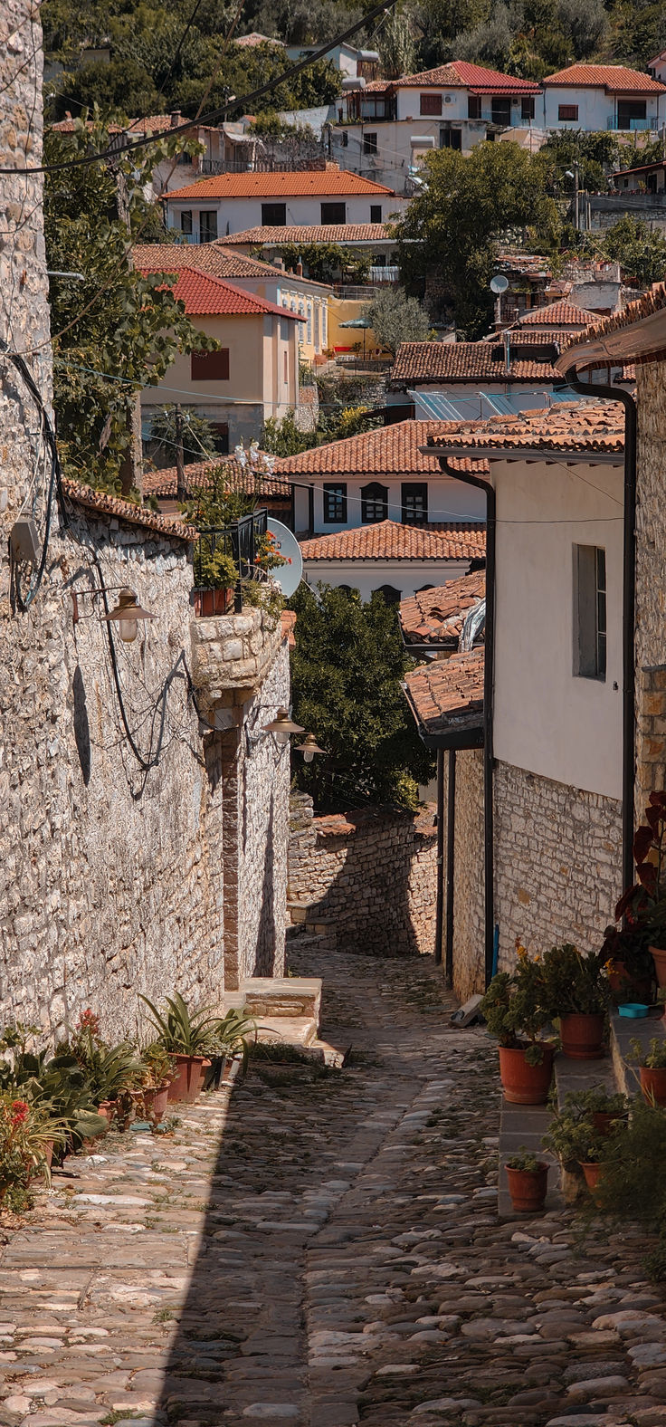 a cobblestone street with potted plants and buildings in the backround