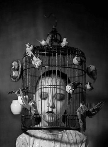 a woman in a cage with birds all over her head and the birdcage on her head