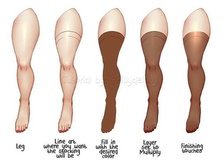 the different types of legs and ankles are shown in this diagram, which shows how long they