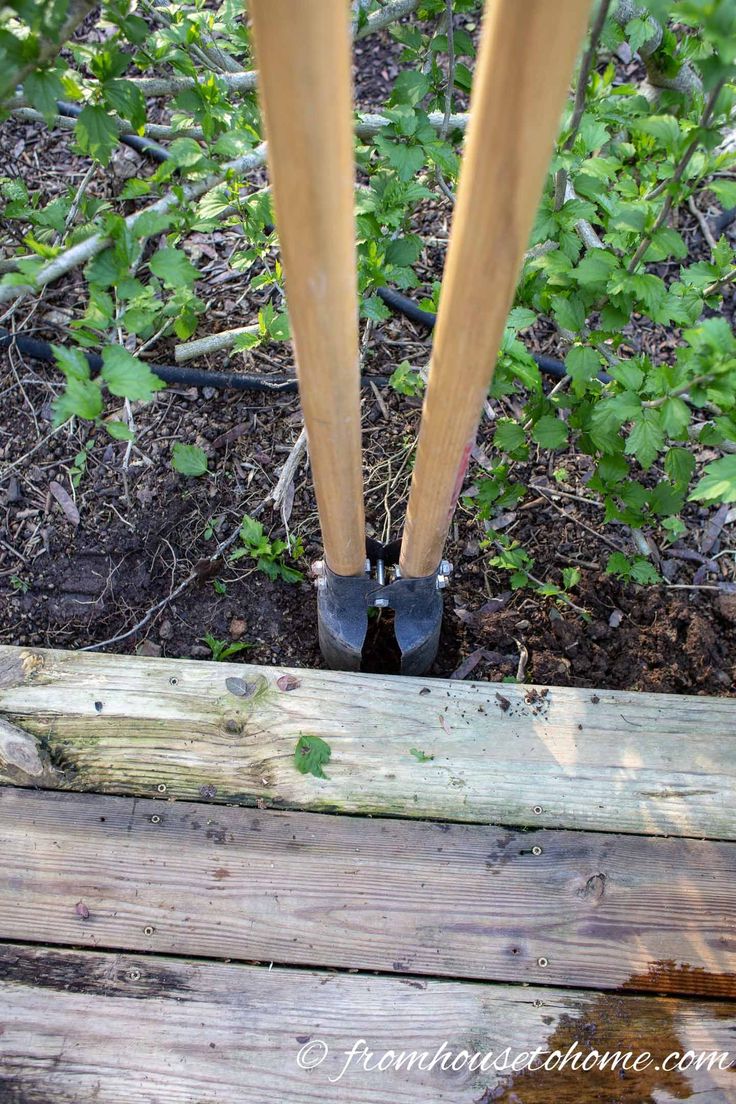 two wooden poles sticking out of the ground in front of some plants and dirt on the ground