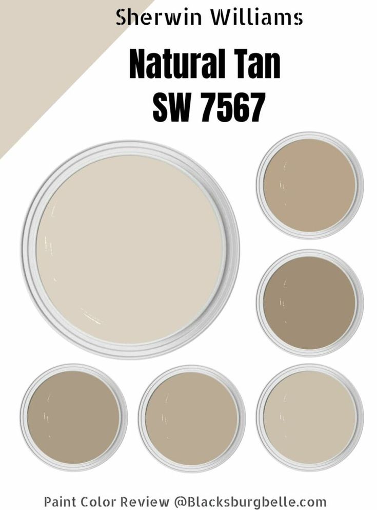 sherylin williams's colonial gray sw 761 paint color review