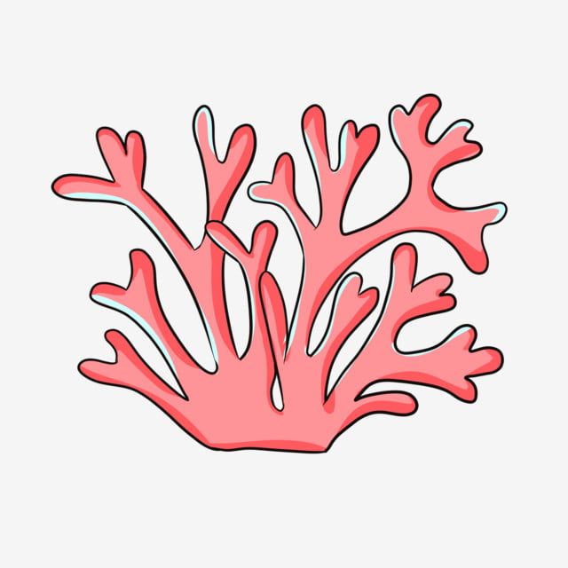 a pink coral on a white background with the words there is no image here to provide a caption for