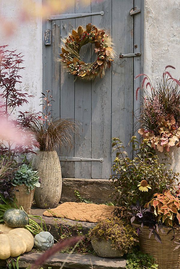 a door with a wreath on it next to some potted plants and pumpkins