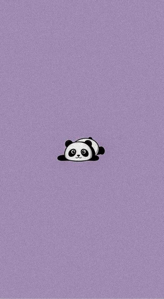 a panda bear sitting in the middle of a purple wall with black and white dots on it