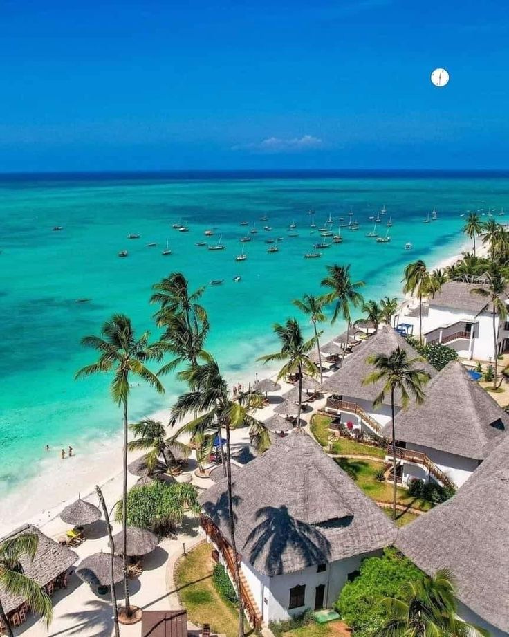 an aerial view of a beach resort with boats in the water and palm trees surrounding it