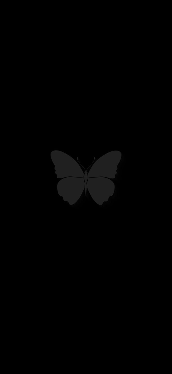 a black and white photo of a butterfly in the dark