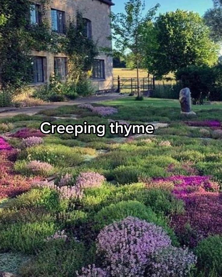 the words creeping thyne in front of a house