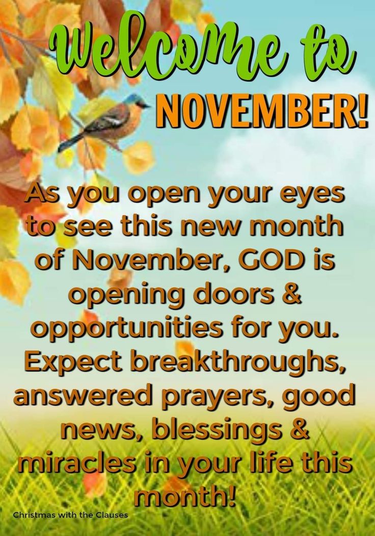 an image of a welcome card for november